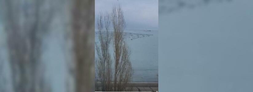 Жители Новороссийска сняли на видео, как над акваторией Цемесской бухты летят «тучи» птиц