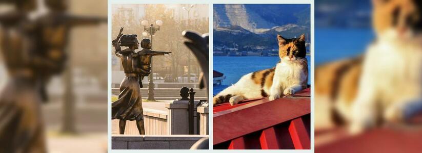 Новороссийск в Instagram: романтичная профессия и морской котик