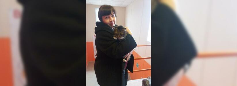 «Привет, Василий!»: в Новороссийске хозяйка нашла своего потерявшегося кота спустя два года