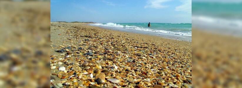 Пляжи Анапы хотят очистить от пива, шашлыков и аттракционов