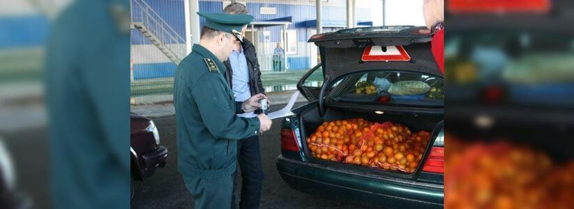 С сегодняшнего дня жители Новороссийска не смогут провезти фрукты через российско-абхазскую границу