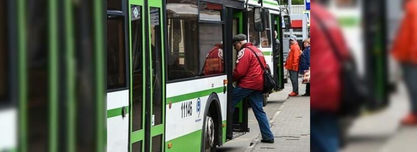 В Новороссийске в день выборов пустят 52 бесплатных автобуса: расписание