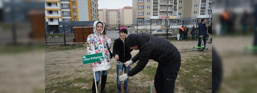 18 семей Новороссийска посадили фамильные деревья