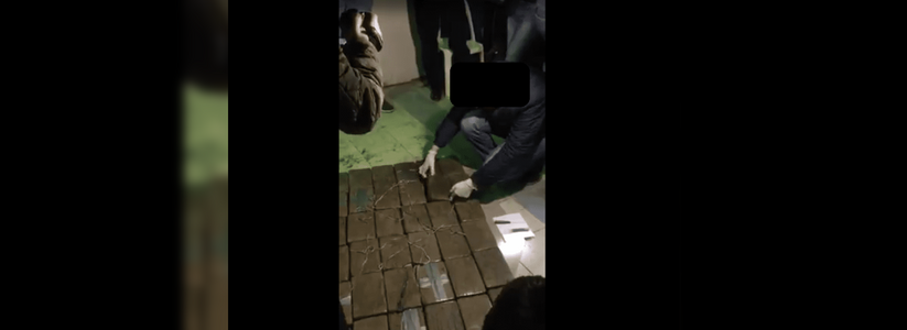 В Новороссийске осудят мужчину, который пытался вывести 36 килограмм кокаина в Санкт-Петербург