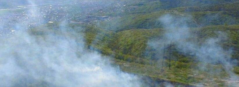 В Новороссийске произошел лесной пожар: очевидец снял на видео место ЧП