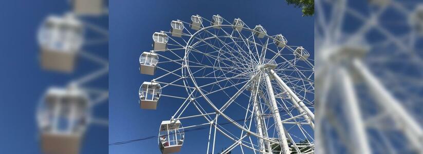 В Новороссийске в парке имени Ленина запустили новое колесо обозрения: график работы и стоимость билетов