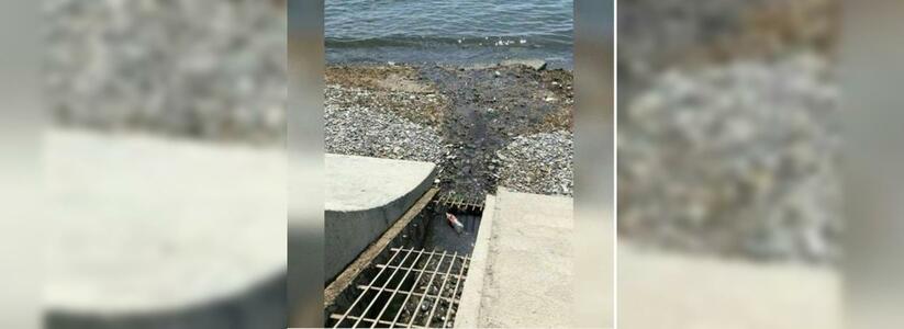 Жители Новороссийска сфотографировали, как зловонный ручей отравляет море: сток обнаружен в районе пляжа Мысхако