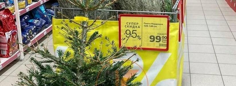"А что? До мая постоит!" : жителей Новороссийска развеселила распродажа пихт после Нового года