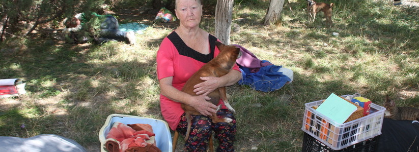 «Мы ее кормим, чай выносим. Жалко Галю очень»: бывшая учительница поселилась на лавочке во дворе новороссийской многоэтажки