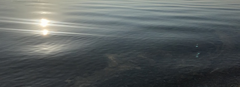 Море на «Нептуне» в Новороссийске покрылось пятнами грязи
