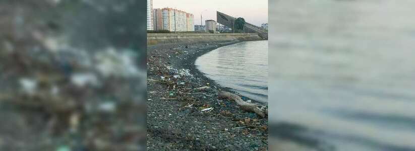 Горожане возмущены заваленным мусором берегом около одной из главных достопримечательностей Новороссийска