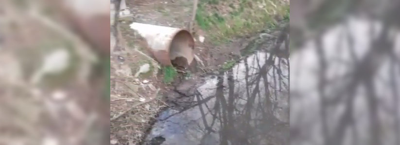 Житель Новороссийска зафиксировал на видео факт сброса канализационных вод в ливневку