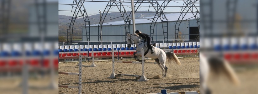 В новороссийской конно-спортивной школе «Пегас» завершается строительство крытого ангара