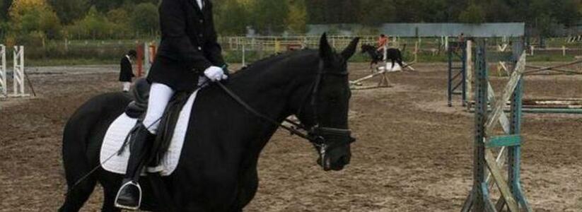 <p>Игорь Шуманский любит не только тренироваться, но и ухаживать за своей воспитанницей – лошадью Цимоной.</p>