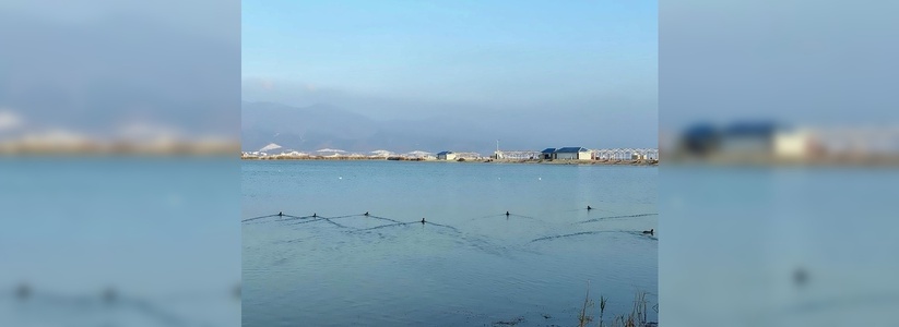 Проран федерального значения: чистота Суджукской лагуны остается под угрозой