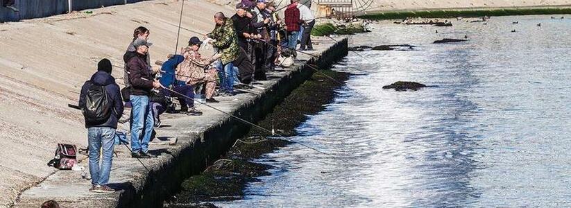 Рыбаки штурмуют пляжи: в Новороссийске пошла кефаль и ставрида