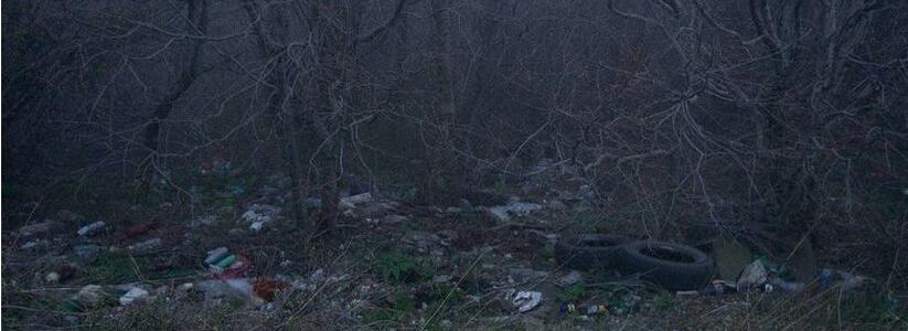 Лес превратился в помойку: новороссийцев приглашают на уборку в район Мефодиевского перевала