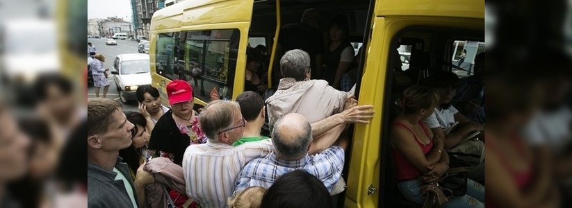 Новые маршруты и большие автобусы: в сфере пассажирских перевозок в Новороссийске грядут большие перемены