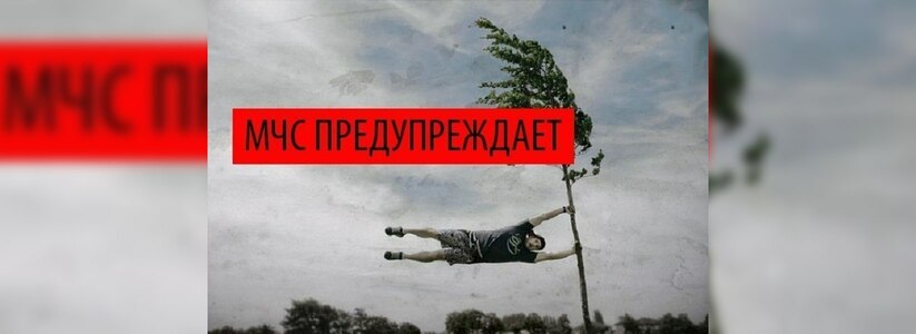 МЧС предупреждает: на Новороссийск надвигается штормовой ветер