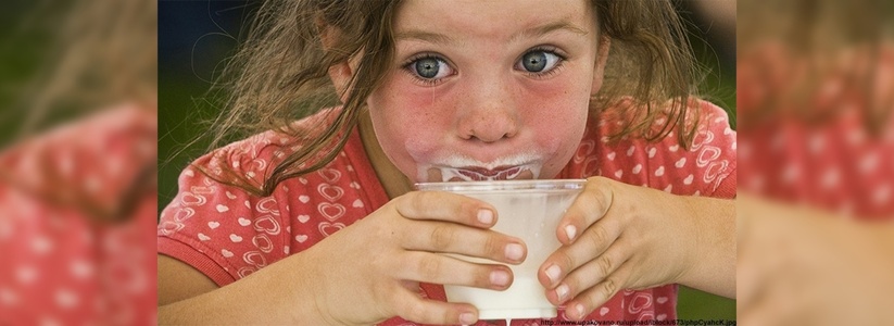 95 фальсифицированных молочных продуктов съели школы и больницы Новороссийска и края