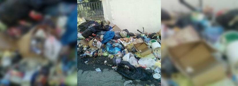 В социальных сетях все чаще стали появляться фото мусорных свалок в Новороссийске