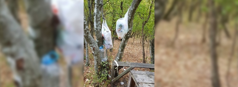 Местные жители сфотографировали горы мусора в лесу Новороссийска