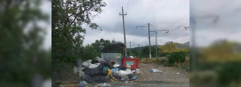 «Мусорная реформа во всей красе!»: жители Новороссийска возмущены переполненными мусорными контейнерами