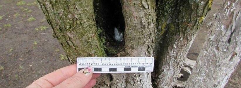 Полицейские Новороссийска нашли в дупле дерева килограмм наркотиков
