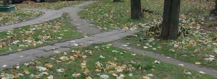 В Новороссийске благоустроят «народные тропы», чтобы люди не вытаптывали газоны