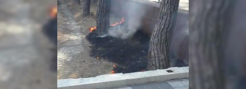 В сети появилось видео, как жители Новороссийска потушили вспыхнувший огонь около парка Фрунзе