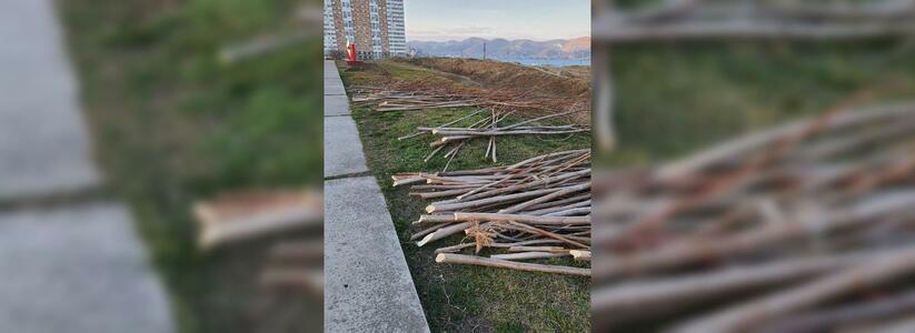«Опять безжалостная вырубка!»: В Новороссийске на Малой Земле спилили деревья