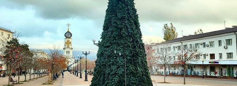 В Новороссийске на бульваре Черняховского установили первую новогоднюю елку