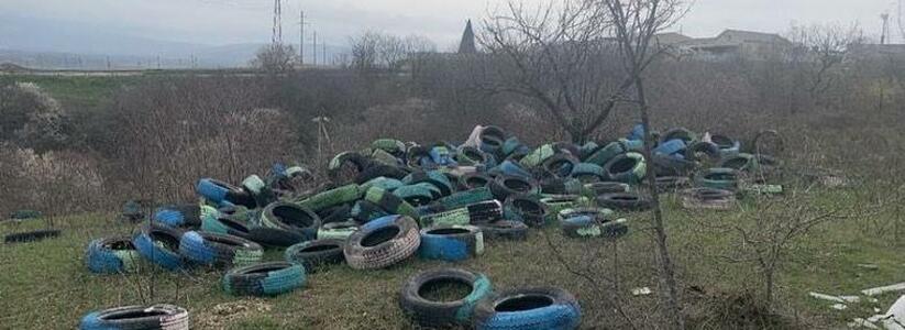 Борьба с покрышками по всем фронтам: под Новороссийском обнаружено кладбище колес