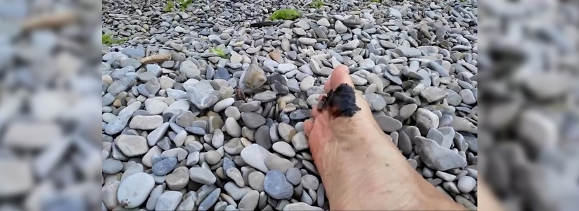 «Вдоль всего берега мазут!»: новороссийцы сняли на видео черные пятна у кромки моря на набережной
