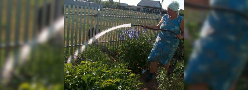 Мэр Новороссийска назвал полив огородов одной из причин нехватки воды (+5 мемов об экономии воды от НАШЕЙ)