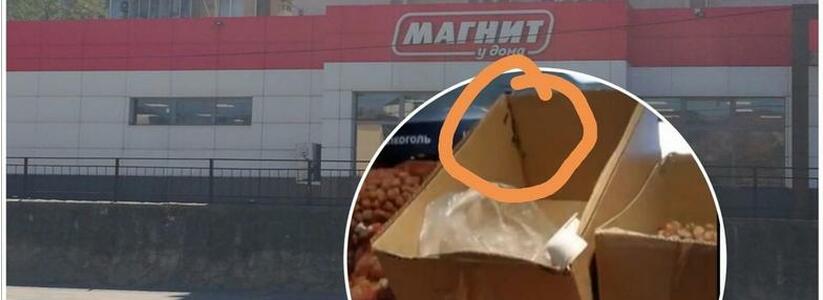 "Какая мерзость!": тараканы кишат в коробке из-под орехов в одном из «Магнитов» Новороссийска