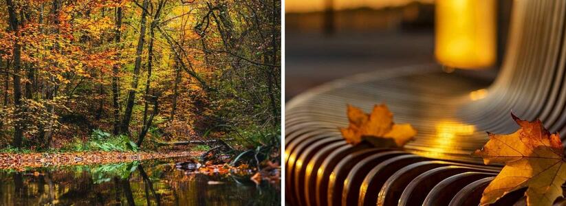 «Здесь пламенная листва на деревьях»: фотограф нашел место в Новороссийске, где осень поражает своей красотой