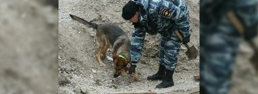 В Новороссийске полицейские обнаружили на одной из строек останки трех человек