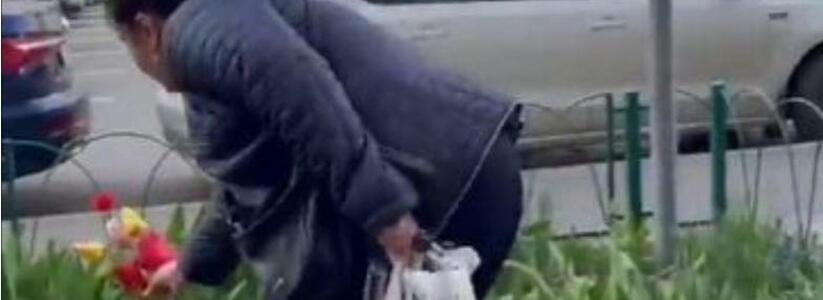 «Цена позора 100 рублей»: жительница Новороссийска нарвала букет тюльпанов в палисаднике