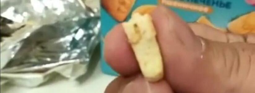 Житель Новороссийска обнаружил личинки насекомых в детском печенье