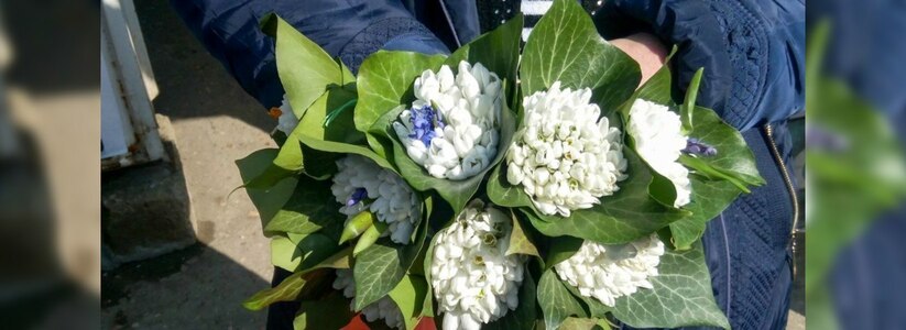 Белоцветник, подснежник, тюльпан Шренка:  в Новороссийске торгуют краснокнижными цветами. Рвать их категорически запрещено!