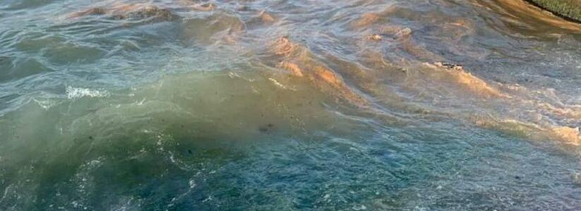 «Экологи, ау!»: ржавое море возле яхт-клуба в Новороссийске покрылось пленкой
