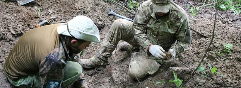 Под Новороссийском поисковики нашли останки тел шести красноармейцев