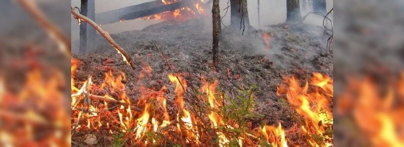 Чрезвычайная пожароопасность 5 класса объявлена в Новороссийске