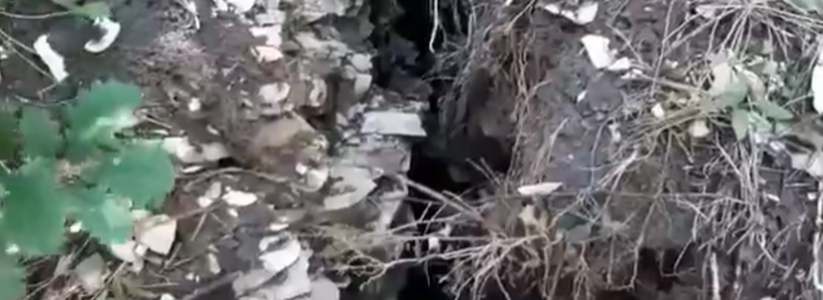 "Земля разверзлась!": новороссийцы обнаружили глубокий провал в лесу на Маркотхском хребте