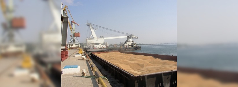 Из порта Новороссийска отправлена пробная партия пшеницы в Саудовскую Аравию