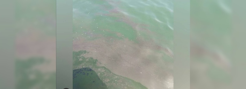 Жители Новороссийска заметили в акватории Цемесской бухты грязное пятно