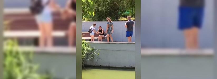 Жители Новороссийска сняли на видео, как группа людей выловила черепаху из пруда в парке Фрунзе