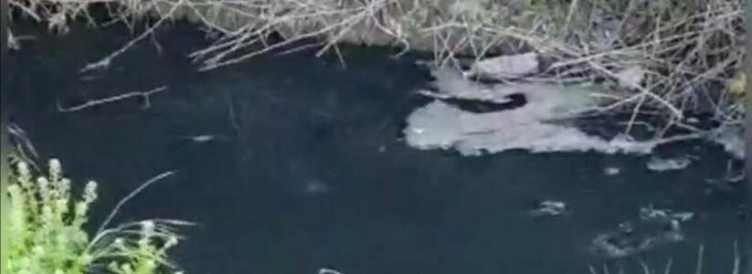 «Дикая вонь канализации!»: в Южной Озереевке под Новороссийском ручей окрасился в черный цвет