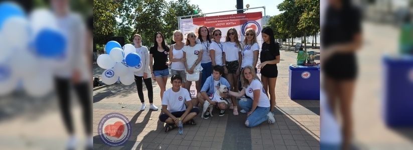 Лотерея, мастер-классы и фотовыставка: завтра в Новороссийске состоится акция помощи бездомным животным  «Территория добра»
